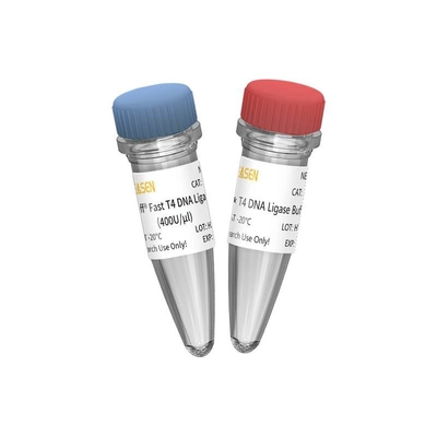 Γρήγορο T4 βιβλιοθήκης NGS Ligase 400 U/UL DNA κατασκευής για την ερευνητική χρήση ΜΌΝΟ