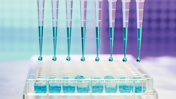 Rnase 10UL 100UL ελεύθερος αποστειρωμένος μικροϋπολογιστής ακρών σιφωνίων καθολικός για το εργαστήριο